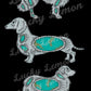 Turquoise dog Tshirt